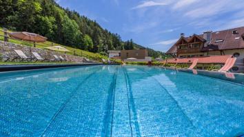 hotel-fischer-pool