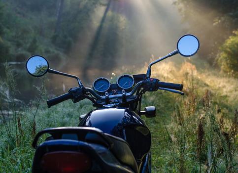 Una moto in un bosco