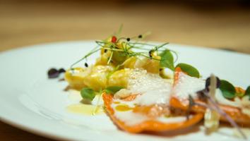 Gourmet pasta with foam, microgreens and creamy sauce on a white plate.