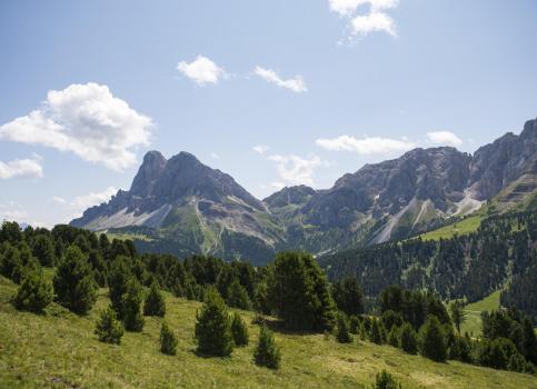 The mountains in summer