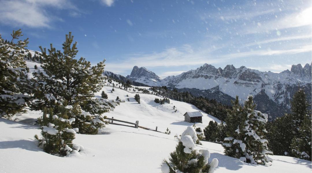 Un paesaggio invernale