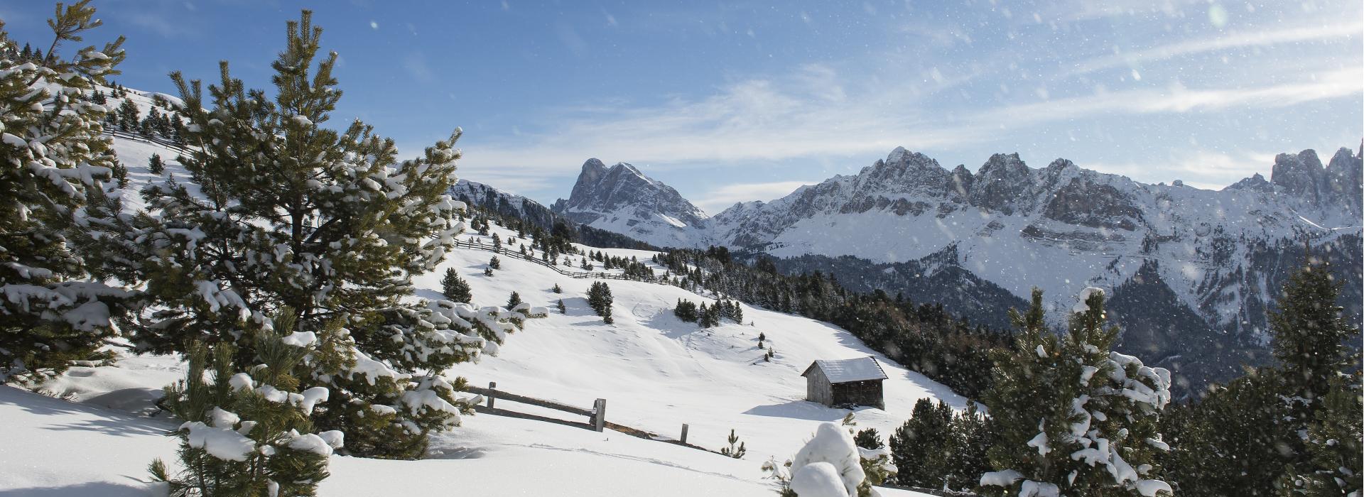 Eine Winterlandschaft