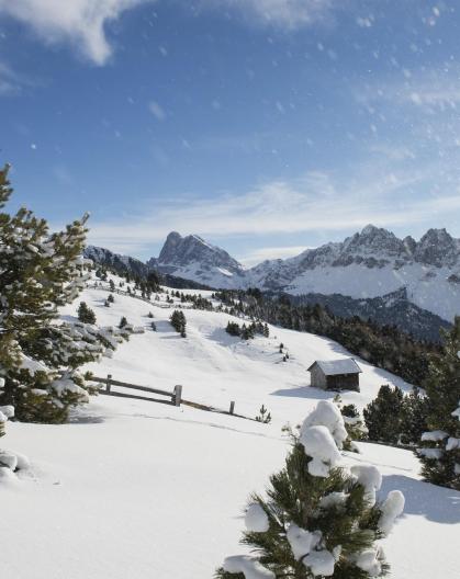 A winter landscape