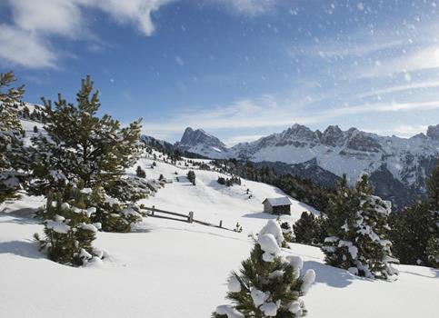 Eine Winterlandschaft