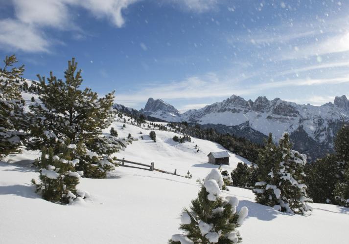 Un paesaggio invernale