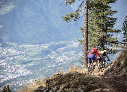 Two mountain bikers ride a narrow trail overlooking the valley and Bressanone