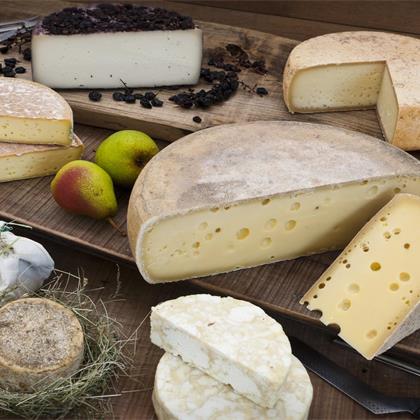 Various types of cheese