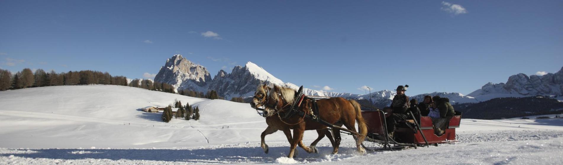 Horse-drawn sleigh ride through snowy landscape with Dolomites mountains in the background.