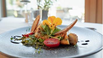 p1030206-jpg-compressed