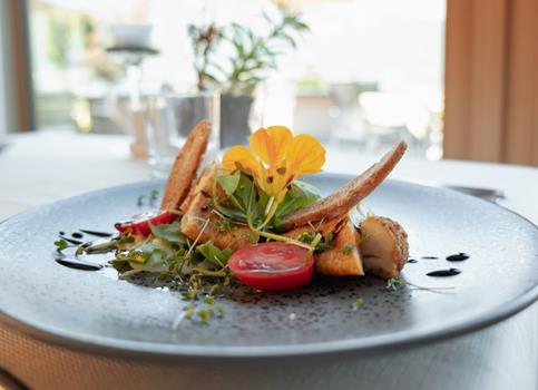 p1030206-jpg-compressed