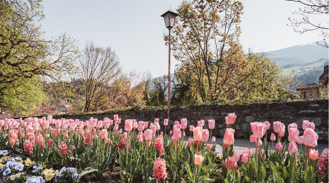 24-brixen-fruehling-c-brixen-tourismus-hannes-engl-59