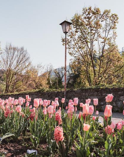 24-brixen-fruehling-c-brixen-tourismus-hannes-engl-59