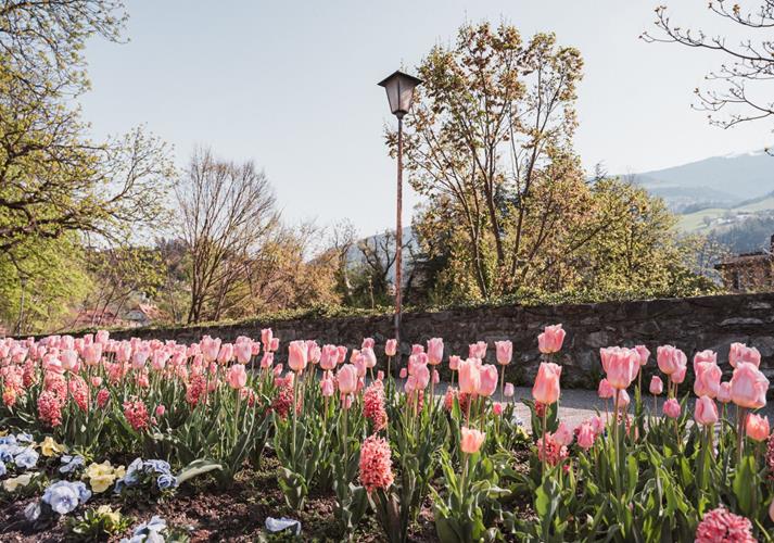 24-brixen-fruehling-c-brixen-tourismus-hannes-engl-59