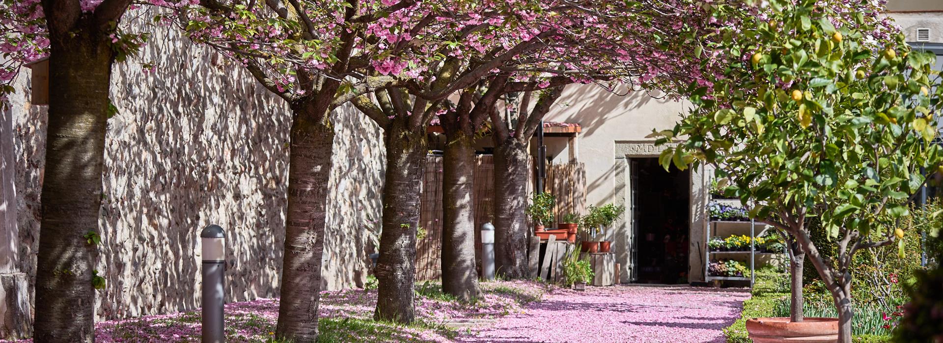 21-brixen-herrengarten-brixen-tourismus-andreas-tauber-2