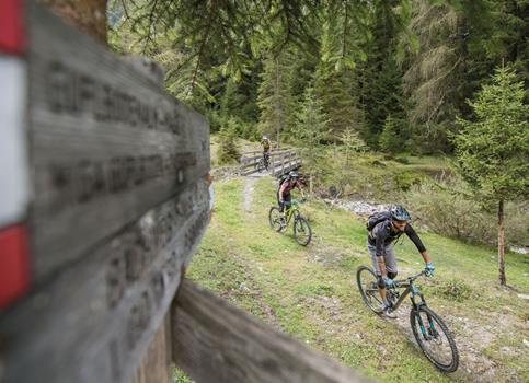 Mountainbiker im Wald