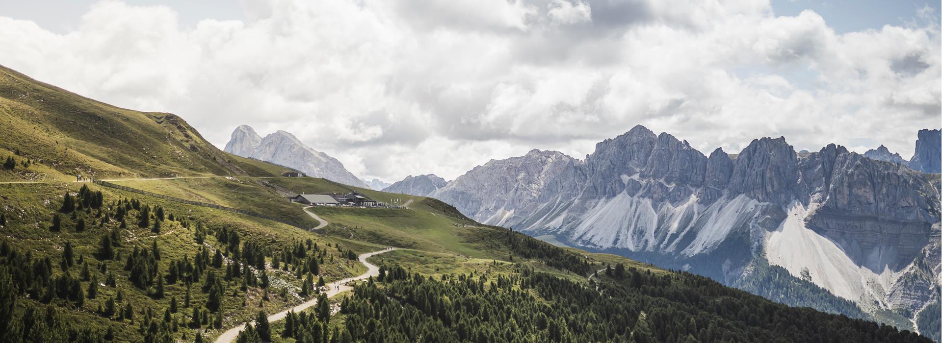 23-plose-sommer-rossalm-c-brixen-tourismus-kottersteger-1