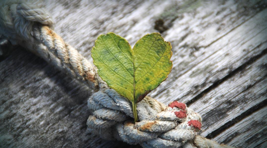 heart-g90cb5f7d2-1920