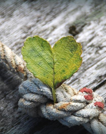 heart-g90cb5f7d2-1920