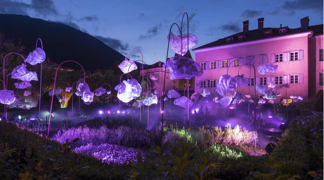 46147579414-24d40fb4b5-k