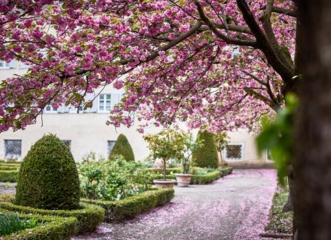 21-brixen-herrengarten-brixen-tourismus-andreas-tauber